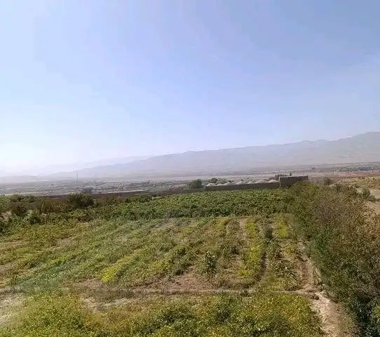 فروش باغ