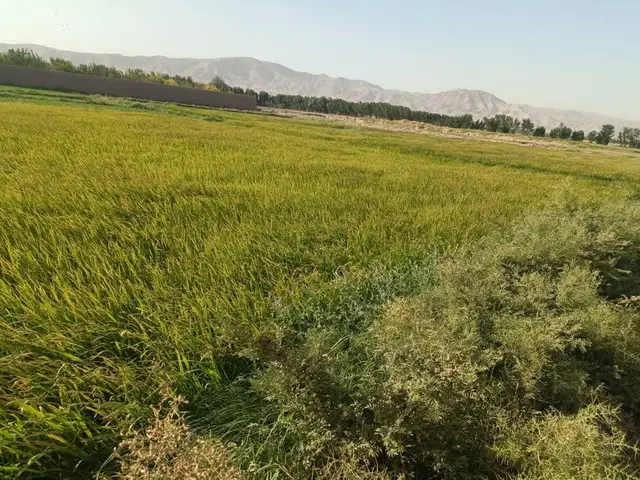 زمین فروشی